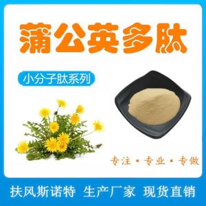 蒲公英多肽 蒲公英低聚肽80% 肽供应