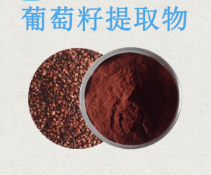 葡萄籽提取物*现货供应