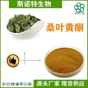桑叶黄酮10% 桑叶提取物 多种规格 供应