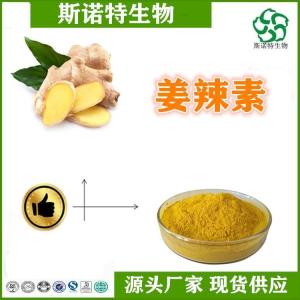 姜辣素1% 生姜提取物 多种规格 可定制 免费试用