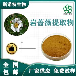 岩蔷薇提取物 比例提取 岩蔷薇粉 水溶性粉