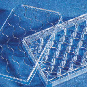 美国康宁corning 24孔标准透明板细胞培养板 3524  带盖 灭菌