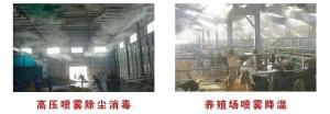 景区喷雾雾森系统